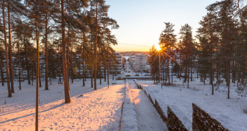 Harjun rinne ja portaat tarjoaa luontoliikuntapaikan keskellä Jyväskylää kaikkina vuodenaikoina.” Kuva: Visit Jyväskylä / Tero Takalo-Eskola.