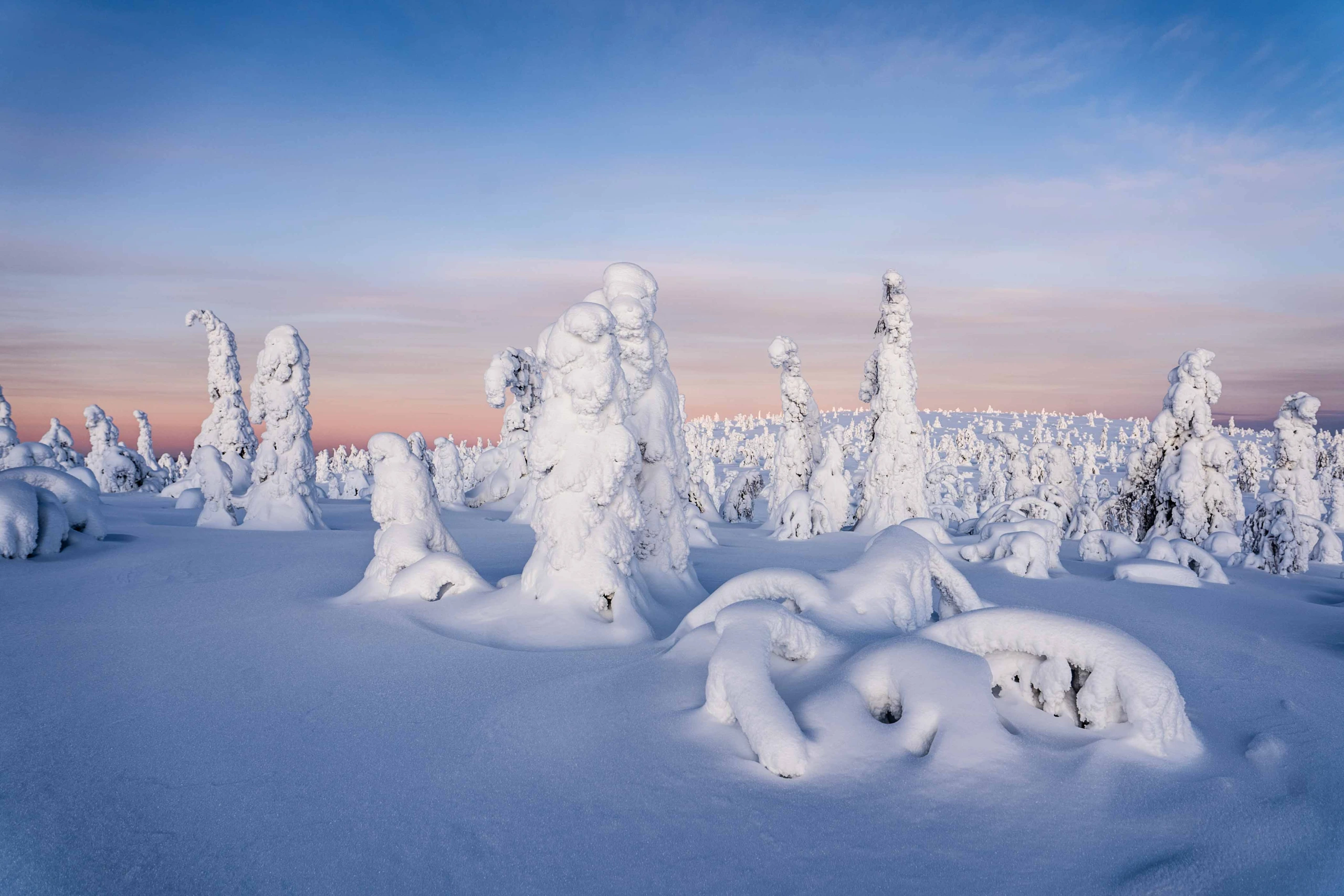 Tutkittu tieto matkailuyrityksen menestyksen reseptinä - Toptravels