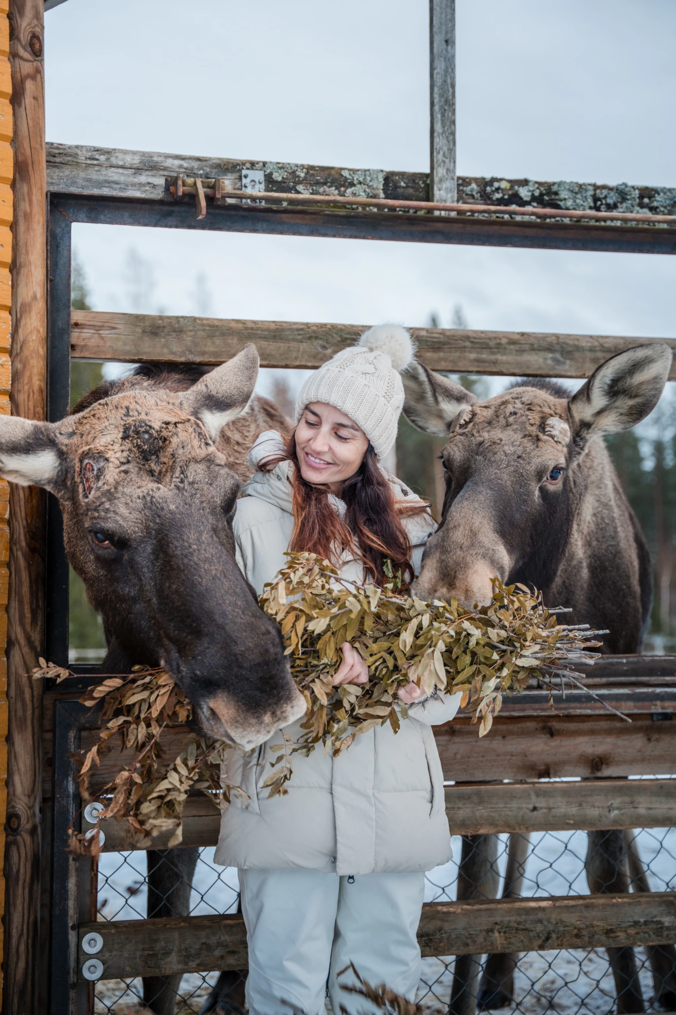 keski-suomi poroja